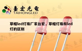 草帽led灯珠厂家台宏，草帽灯珠和led灯的区别