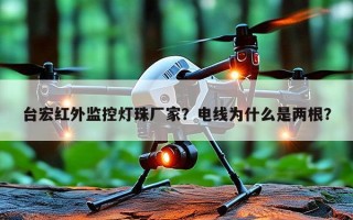台宏红外监控灯珠厂家？电线为什么是两根？