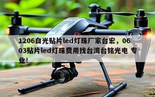 1206白光贴片led灯珠厂家台宏，0603贴片led灯珠费用找台湾台铭光电 专业！