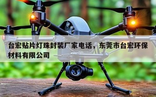 台宏贴片灯珠封装厂家电话，东莞市台宏环保材料有限公司