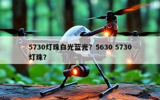 5730灯珠白光蓝光？5630 5730灯珠？