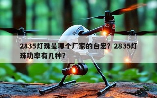 2835灯珠是哪个厂家的台宏？2835灯珠功率有几种？