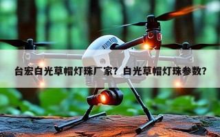 台宏白光草帽灯珠厂家？白光草帽灯珠参数？