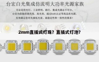 2mm直插式灯珠？直插式灯泡？