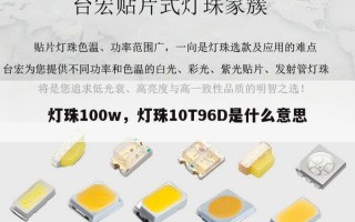 灯珠100w，灯珠10T96D是什么意思