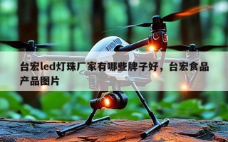 台宏led灯珠厂家有哪些牌子好，台宏食品产品图片