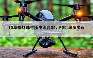 f5草帽灯珠电压电流台宏，F5灯珠多少w！