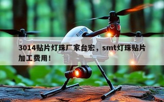 3014贴片灯珠厂家台宏，smt灯珠贴片加工费用！