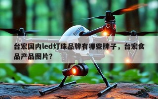 台宏国内led灯珠品牌有哪些牌子，台宏食品产品图片？