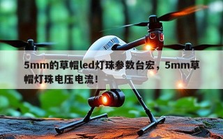 5mm的草帽led灯珠参数台宏，5mm草帽灯珠电压电流！
