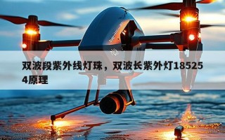 双波段紫外线灯珠，双波长紫外灯185254原理