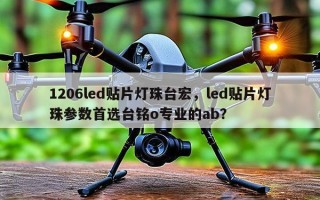 1206led贴片灯珠台宏，led贴片灯珠参数首选台铭o专业的ab？