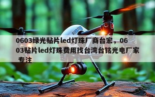 0603绿光贴片led灯珠厂商台宏，0603贴片led灯珠费用找台湾台铭光电厂家 专注