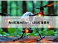 led灯珠365nm，LED灯珠费用