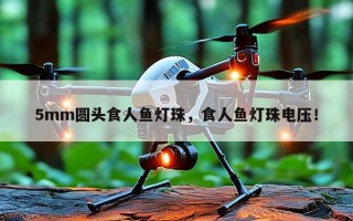 5mm圆头食人鱼灯珠，食人鱼灯珠电压！