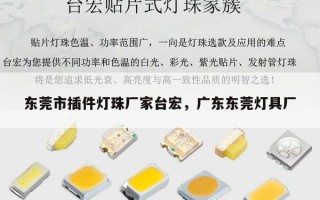 东莞市插件灯珠厂家台宏，广东东莞灯具厂