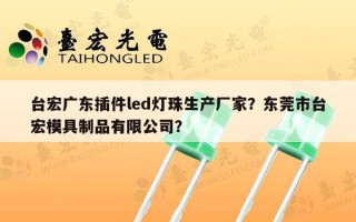 台宏广东插件led灯珠生产厂家？东莞市台宏模具制品有限公司？