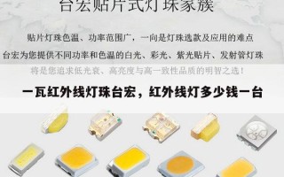 一瓦红外线灯珠台宏，红外线灯多少钱一台