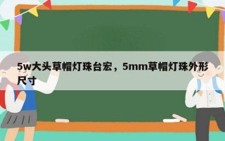 5w大头草帽灯珠台宏，5mm草帽灯珠外形尺寸