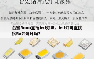 台宏5mm直插led灯珠，led灯珠直接接5v会烧坏吗？