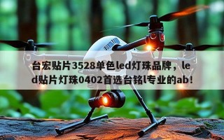 台宏贴片3528单色led灯珠品牌，led贴片灯珠0402首选台铭l专业的ab！