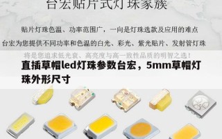 直插草帽led灯珠参数台宏，5mm草帽灯珠外形尺寸