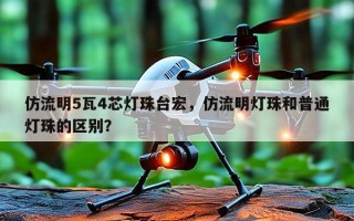 仿流明5瓦4芯灯珠台宏，仿流明灯珠和普通灯珠的区别？