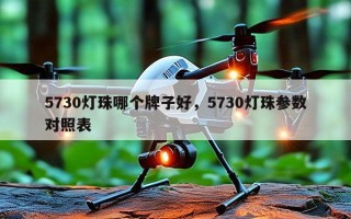 5730灯珠哪个牌子好，5730灯珠参数对照表