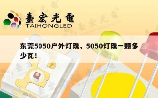 东莞5050户外灯珠，5050灯珠一颗多少瓦！