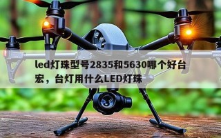 led灯珠型号2835和5630哪个好台宏，台灯用什么LED灯珠