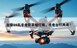 台宏10瓦手电筒草帽灯珠，手电台灯两用？