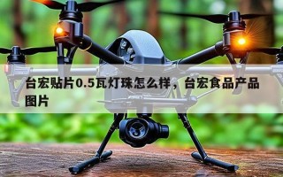 台宏贴片0.5瓦灯珠怎么样，台宏食品产品图片
