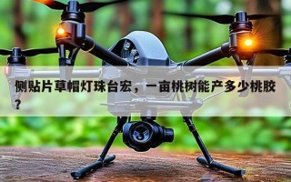 侧贴片草帽灯珠台宏，一亩桃树能产多少桃胶？