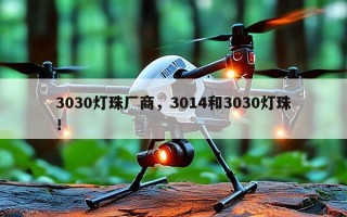 3030灯珠厂商，3014和3030灯珠！