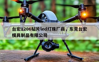 台宏1206贴片led灯珠厂商，东莞台宏模具制品有限公司