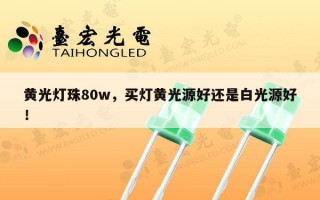 黄光灯珠80w，买灯黄光源好还是白光源好！