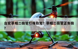 台宏草帽二极管灯珠白光？草帽二极管正负极？