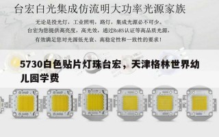 5730白色贴片灯珠台宏，天津格林世界幼儿园学费