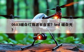 0603暖白灯珠波长台宏？led 暖白光？