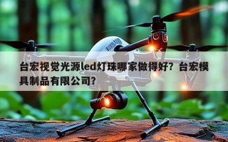 台宏视觉光源led灯珠哪家做得好？台宏模具制品有限公司？
