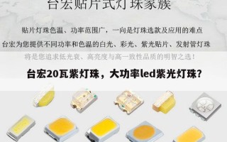 台宏20瓦紫灯珠，大功率led紫光灯珠？