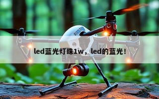 led蓝光灯珠1w，led的蓝光！