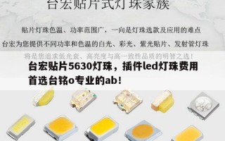 台宏贴片5630灯珠，插件led灯珠费用首选台铭o专业的ab！