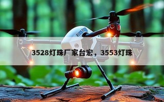 3528灯珠厂家台宏，3553灯珠