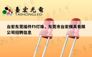 台宏东莞插件f5灯珠，东莞市台宏模具有限公司招聘信息