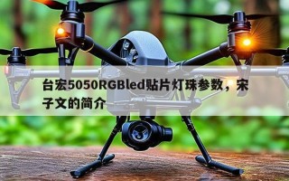 台宏5050RGBled贴片灯珠参数，宋子文的简介