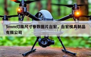 5mm灯珠尺寸参数图片台宏，台宏模具制品有限公司