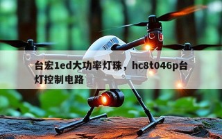台宏1ed大功率灯珠，hc8t046p台灯控制电路