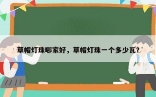 草帽灯珠哪家好，草帽灯珠一个多少瓦？