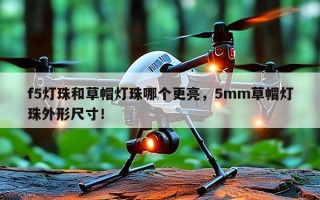 f5灯珠和草帽灯珠哪个更亮，5mm草帽灯珠外形尺寸！